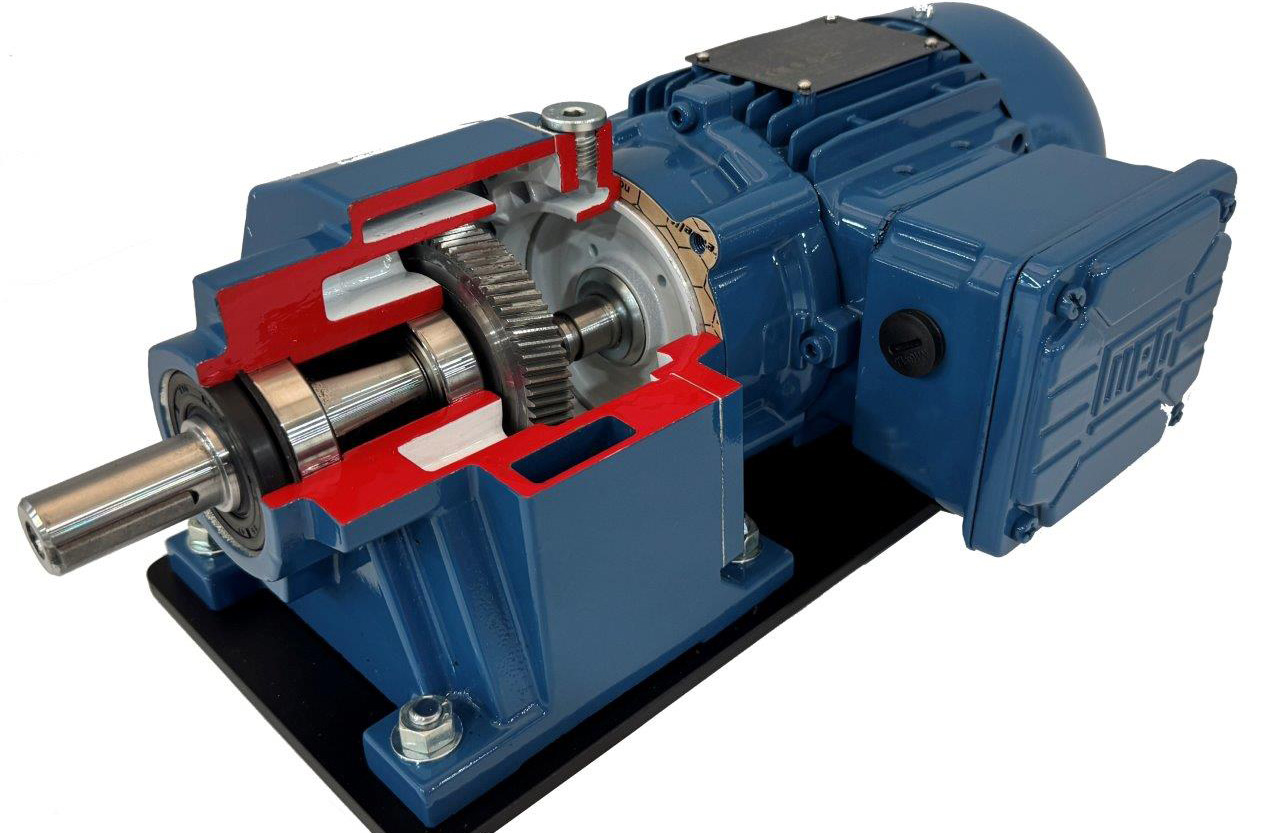 WEG gear motor cutaway